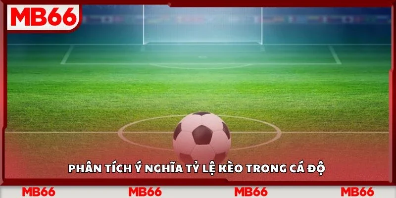 Phân tích ý nghĩa tỷ lệ kèo trong cá độ