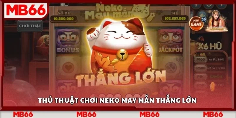 Thủ thuật chơi neko may mắn thắng lớn